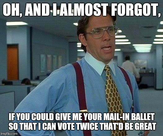 Double Dipper | OH, AND I ALMOST FORGOT, IF YOU COULD GIVE ME YOUR MAIL-IN BALLET SO THAT I CAN VOTE TWICE THAT'D BE GREAT | image tagged in memes,election 2016,vote,boobs | made w/ Imgflip meme maker