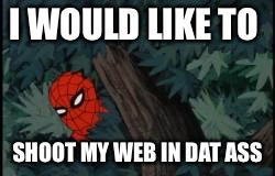 spiderman in bushes | I WOULD LIKE TO; SHOOT MY WEB IN DAT ASS | image tagged in spiderman in bushes | made w/ Imgflip meme maker