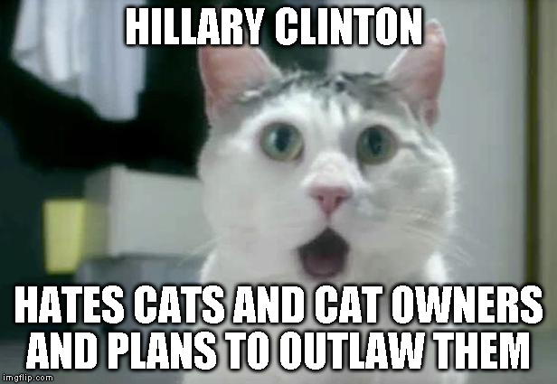 OMG Cat Meme | HILLARY CLINTON; HATES CATS AND CAT OWNERS AND PLANS TO OUTLAW THEM | image tagged in memes,omg cat | made w/ Imgflip meme maker