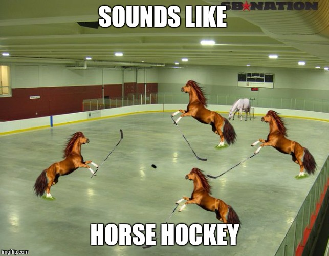 Stanley Cup playoffs.  They could go all the way. | SOUNDS LIKE; HORSE HOCKEY | image tagged in memes,stanley cup,horse hockey,boston bruins,montreal canadiens | made w/ Imgflip meme maker