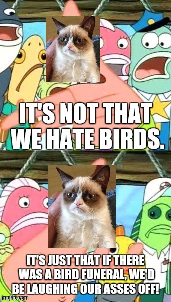 Put It Somewhere Else Patrick Meme | IT'S NOT THAT WE HATE BIRDS. IT'S JUST THAT IF THERE WAS A BIRD FUNERAL, WE'D BE LAUGHING OUR ASSES OFF! | image tagged in memes,put it somewhere else patrick | made w/ Imgflip meme maker