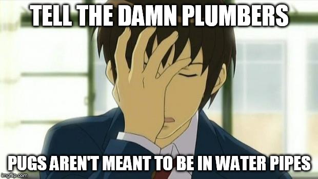 Kyon Facepalm Ver 2 | TELL THE DAMN PLUMBERS PUGS AREN'T MEANT TO BE IN WATER PIPES | image tagged in kyon facepalm ver 2 | made w/ Imgflip meme maker