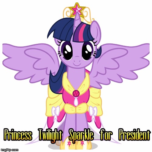 Twilight for president | image tagged in twilight for president | made w/ Imgflip meme maker