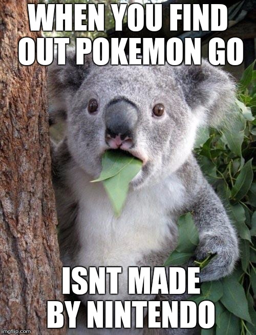 Suprised Koala | WHEN YOU FIND OUT POKEMON GO; ISNT MADE BY NINTENDO | image tagged in suprised koala,memes,pokemon go,koala | made w/ Imgflip meme maker