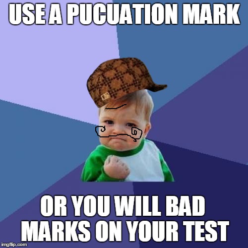 Success Kid Meme | USE A PUCUATION MARK; OR YOU WILL BAD MARKS ON YOUR TEST | image tagged in memes,success kid,scumbag | made w/ Imgflip meme maker