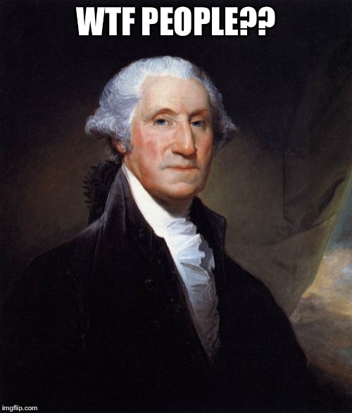 George Washington | WTF PEOPLE?? | image tagged in memes,george washington | made w/ Imgflip meme maker