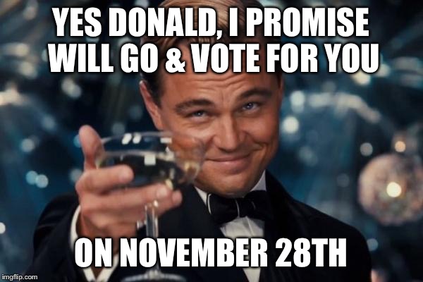 Leonardo Dicaprio Cheers | YES DONALD, I PROMISE WILL GO & VOTE FOR YOU; ON NOVEMBER 28TH | image tagged in memes,leonardo dicaprio cheers | made w/ Imgflip meme maker