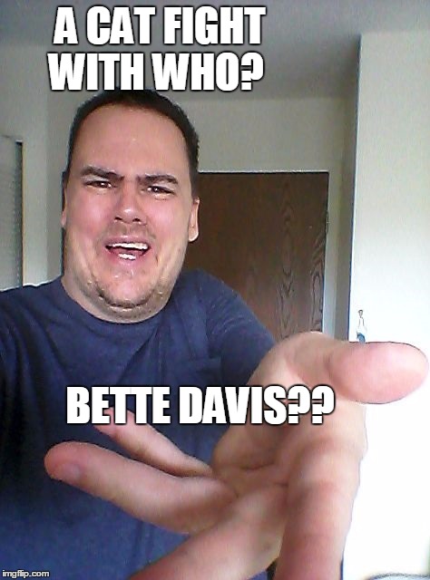 wow! | A CAT FIGHT WITH WHO? BETTE DAVIS?? | image tagged in wow | made w/ Imgflip meme maker