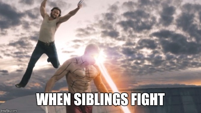 WHEN SIBLINGS FIGHT | image tagged in wolverine,x men | made w/ Imgflip meme maker