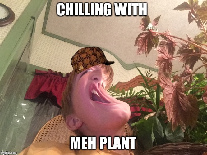 CHILLING WITH; MEH PLANT | image tagged in chilling,scumbag | made w/ Imgflip meme maker