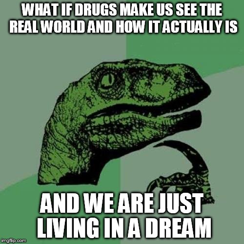 Have you ever wondered | WHAT IF DRUGS MAKE US SEE THE REAL WORLD AND HOW IT ACTUALLY IS; AND WE ARE JUST LIVING IN A DREAM | image tagged in memes,philosoraptor | made w/ Imgflip meme maker