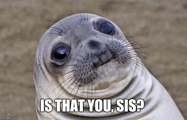 Awkward Moment Sealion Meme | IS THAT YOU, SIS? | image tagged in memes,awkward moment sealion | made w/ Imgflip meme maker