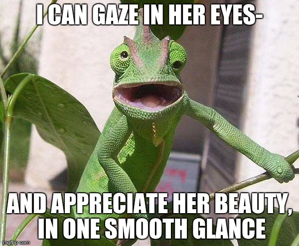 Crazy Chameleon | I CAN GAZE IN HER EYES-; AND APPRECIATE HER BEAUTY, IN ONE SMOOTH GLANCE | image tagged in crazy chameleon | made w/ Imgflip meme maker