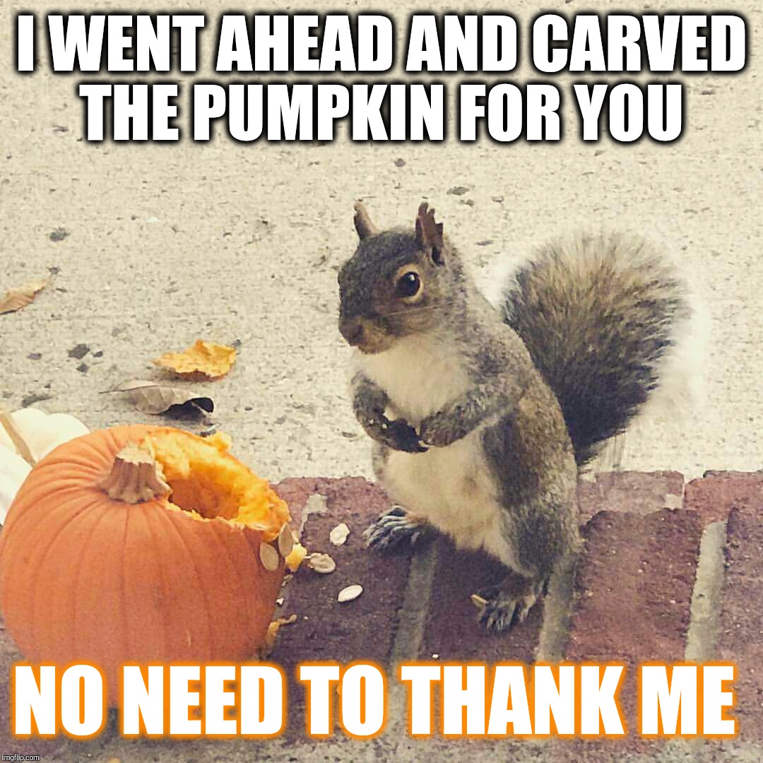 I Carved Your Pumpkin Imgflip