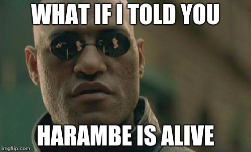 Matrix Morpheus Meme | WHAT IF I TOLD YOU; HARAMBE IS ALIVE | image tagged in memes,matrix morpheus | made w/ Imgflip meme maker