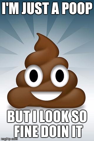 poop whatsapp | I'M JUST A POOP; BUT I LOOK SO FINE DOIN IT | image tagged in poop whatsapp | made w/ Imgflip meme maker