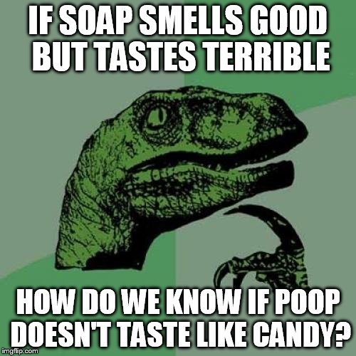 It's a thought | IF SOAP SMELLS GOOD BUT TASTES TERRIBLE; HOW DO WE KNOW IF POOP DOESN'T TASTE LIKE CANDY? | image tagged in memes,philosoraptor | made w/ Imgflip meme maker
