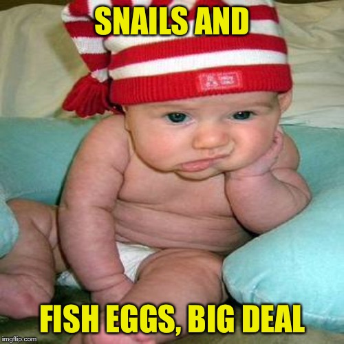 SNAILS AND FISH EGGS, BIG DEAL | made w/ Imgflip meme maker