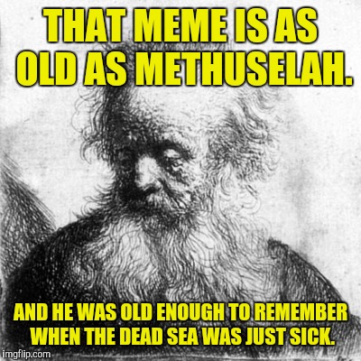 THAT MEME IS AS OLD AS METHUSELAH. AND HE WAS OLD ENOUGH TO REMEMBER WHEN THE DEAD SEA WAS JUST SICK. | made w/ Imgflip meme maker