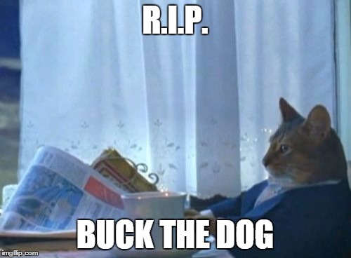 I Should Buy A Boat Cat Meme | R.I.P. BUCK THE DOG | image tagged in memes,i should buy a boat cat | made w/ Imgflip meme maker
