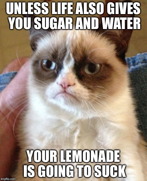 Grumpy Cat Meme | UNLESS LIFE ALSO GIVES YOU SUGAR AND WATER; YOUR LEMONADE IS GOING TO SUCK | image tagged in memes,grumpy cat | made w/ Imgflip meme maker