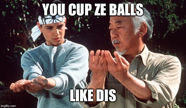 Daniel Son | YOU CUP ZE BALLS; LIKE DIS | image tagged in karate kid | made w/ Imgflip meme maker