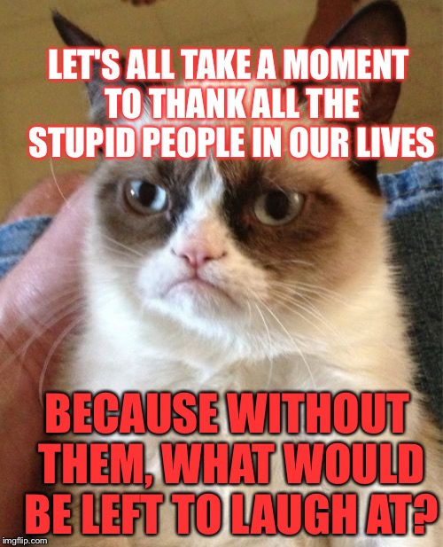 Grumpy Cat Meme | LET'S ALL TAKE A MOMENT TO THANK ALL THE STUPID PEOPLE IN OUR LIVES; BECAUSE WITHOUT THEM, WHAT WOULD BE LEFT TO LAUGH AT? | image tagged in memes,grumpy cat | made w/ Imgflip meme maker