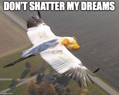 DON’T SHATTER MY DREAMS | made w/ Imgflip meme maker