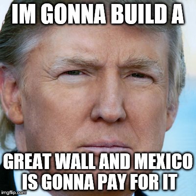trump (frase) | IM GONNA BUILD A; GREAT WALL AND MEXICO IS GONNA PAY FOR IT | image tagged in trump frase | made w/ Imgflip meme maker