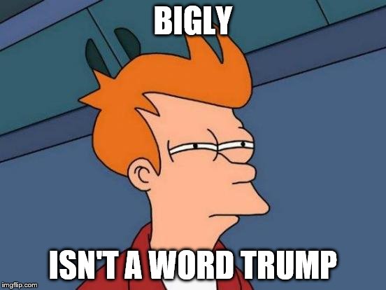 Futurama Fry Meme | BIGLY ISN'T A WORD TRUMP | image tagged in memes,futurama fry | made w/ Imgflip meme maker