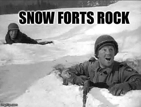 Winter is coming and snow forts rock | SNOW FORTS ROCK | image tagged in snowfort,yay,memes | made w/ Imgflip meme maker