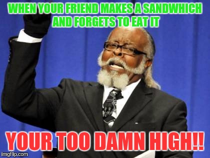 Too Damn High Meme | WHEN YOUR FRIEND MAKES A SANDWHICH AND FORGETS TO EAT IT; YOUR TOO DAMN HIGH!! | image tagged in memes,too damn high | made w/ Imgflip meme maker