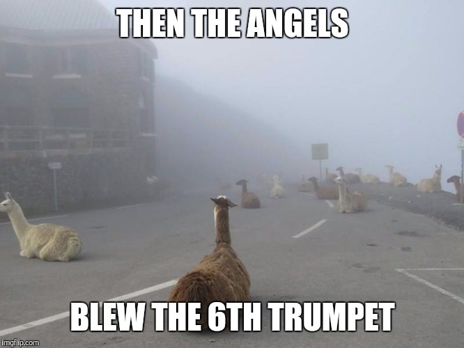 Revelation | THEN THE ANGELS; BLEW THE 6TH TRUMPET | image tagged in alpacalypse | made w/ Imgflip meme maker