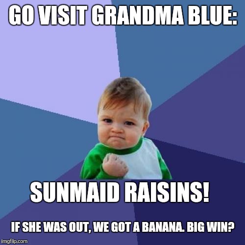 Success Kid Meme | GO VISIT GRANDMA BLUE: SUNMAID RAISINS! IF SHE WAS OUT, WE GOT A BANANA. BIG WIN? | image tagged in memes,success kid | made w/ Imgflip meme maker