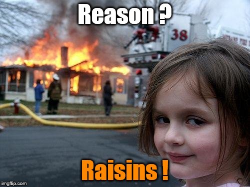 Disaster Girl Meme | Reason ? Raisins ! | image tagged in memes,disaster girl | made w/ Imgflip meme maker