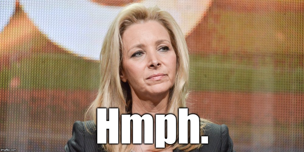 Lisa Kudrow | Hmph. | image tagged in lisa kudrow | made w/ Imgflip meme maker