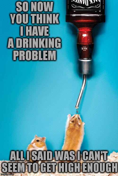 A boost would be nice... | SO NOW YOU THINK I HAVE A DRINKING PROBLEM; ALL I SAID WAS I CAN'T SEEM TO GET HIGH ENOUGH | image tagged in drinking games,hamster,problems | made w/ Imgflip meme maker