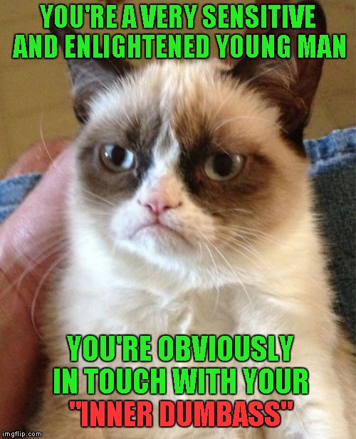 Big thanks to my good buddy Socrates for collaborating with me on this one... | YOU'RE A VERY SENSITIVE AND ENLIGHTENED YOUNG MAN; YOU'RE OBVIOUSLY IN TOUCH WITH YOUR; "INNER DUMBASS" | image tagged in memes,grumpy cat,inner dumbass,funny | made w/ Imgflip meme maker