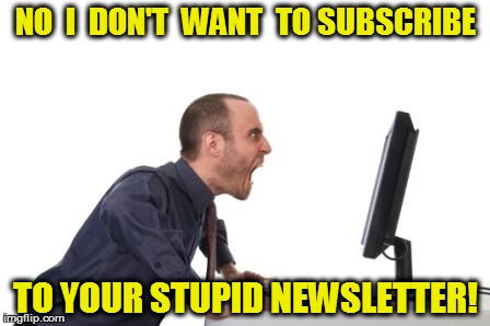 Just gimme the page I want! | NO  I  DON'T  WANT  TO SUBSCRIBE; TO YOUR STUPID NEWSLETTER! | image tagged in funny | made w/ Imgflip meme maker
