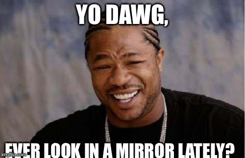 Yo Dawg Heard You | YO DAWG, EVER LOOK IN A MIRROR LATELY? | image tagged in memes,yo dawg heard you | made w/ Imgflip meme maker