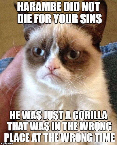 Grumpy Cat | HARAMBE DID NOT DIE FOR YOUR SINS; HE WAS JUST A GORILLA THAT WAS IN THE WRONG PLACE AT THE WRONG TIME | image tagged in memes,grumpy cat | made w/ Imgflip meme maker