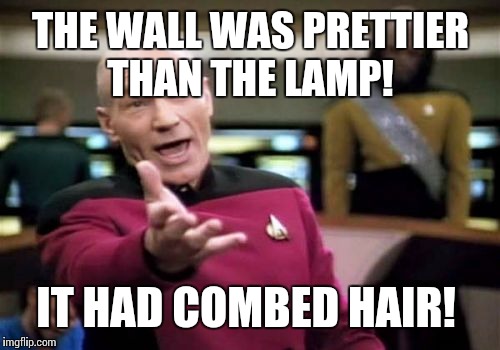 Picard Wtf Meme | THE WALL WAS PRETTIER THAN THE LAMP! IT HAD COMBED HAIR! | image tagged in memes,picard wtf | made w/ Imgflip meme maker