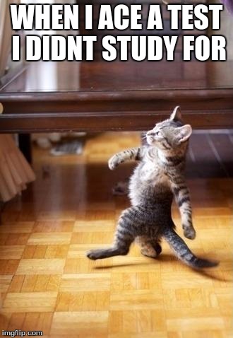 Cool Cat Stroll | WHEN I ACE A TEST I DIDNT STUDY FOR | image tagged in memes,cool cat stroll | made w/ Imgflip meme maker