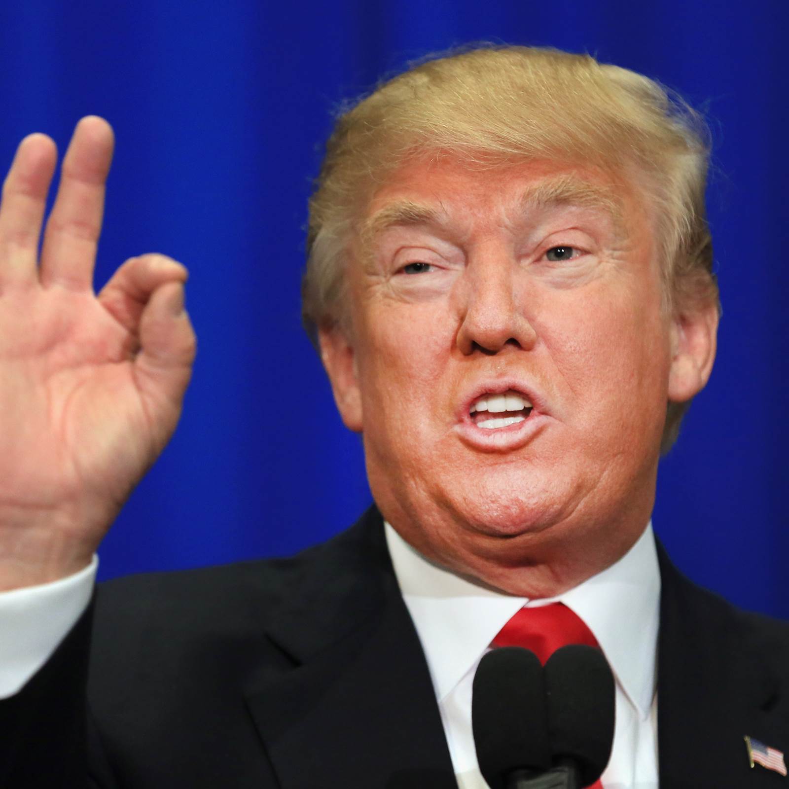 Donald Trump Says Blank Template Imgflip