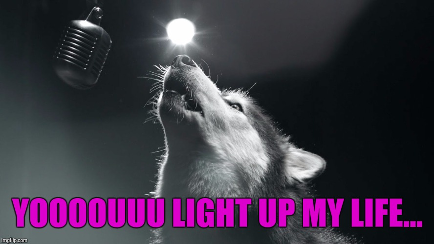 YOOOOUUU LIGHT UP MY LIFE... | made w/ Imgflip meme maker