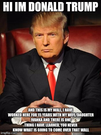 Serious Trump | HI IM DONALD TRUMP; AND THIS IS MY WALL, I HAVE WORKED HERE FOR 15 YEARS WITH MY WIFE/DAUGHTER IVANKA AND THERE IS ONE THING I HAVE LEARNED, YOU NEVER KNOW WHAT IS GOING TO COME OVER THAT WALL | image tagged in serious trump | made w/ Imgflip meme maker