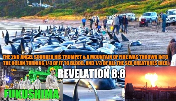 The 2nd Trumpet Blast | . | image tagged in bible,revelation,fukushima,radioactive,justjeff,nuclear power | made w/ Imgflip meme maker