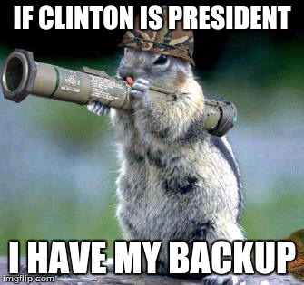 Bazooka Squirrel | IF CLINTON IS PRESIDENT; I HAVE MY BACKUP | image tagged in memes,bazooka squirrel | made w/ Imgflip meme maker