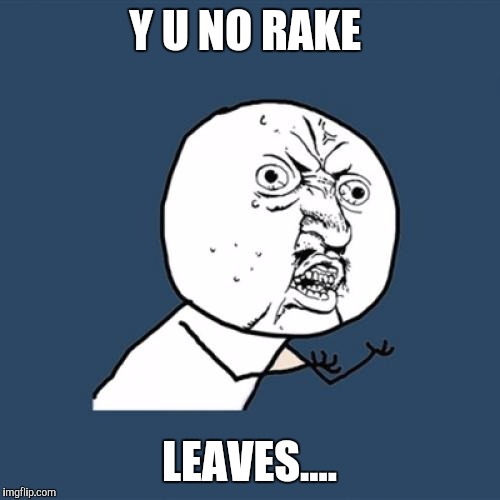 Oh! you would rather blow them huh! | Y U NO RAKE; LEAVES.... | image tagged in memes,y u no | made w/ Imgflip meme maker