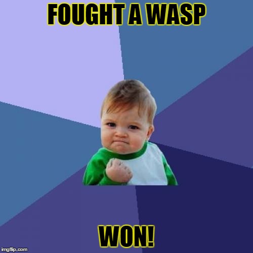 Who's The Badass Now? | FOUGHT A WASP; WON! | image tagged in memes,success kid | made w/ Imgflip meme maker
